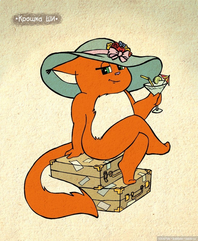 Крошка Ши — Интересное и необычное: фотоподборки