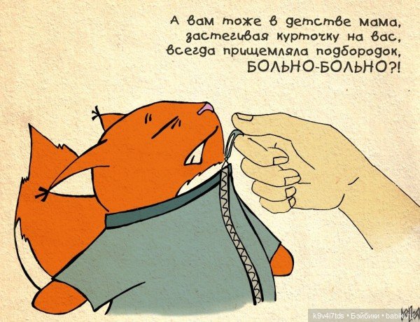 Крошка Ши — Интересное и необычное: фотоподборки