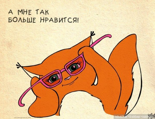 Крошка Ши — Интересное и необычное: фотоподборки