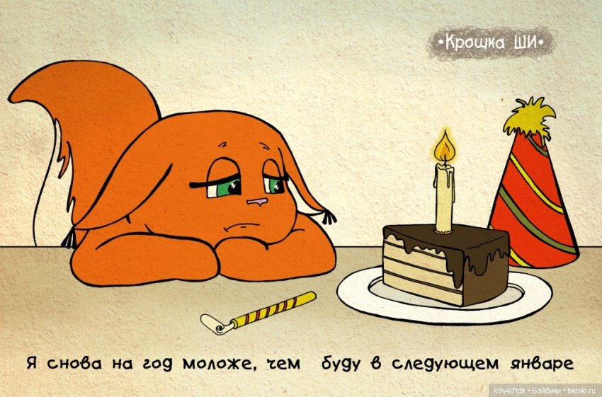 Крошка Ши — Интересное и необычное: фотоподборки