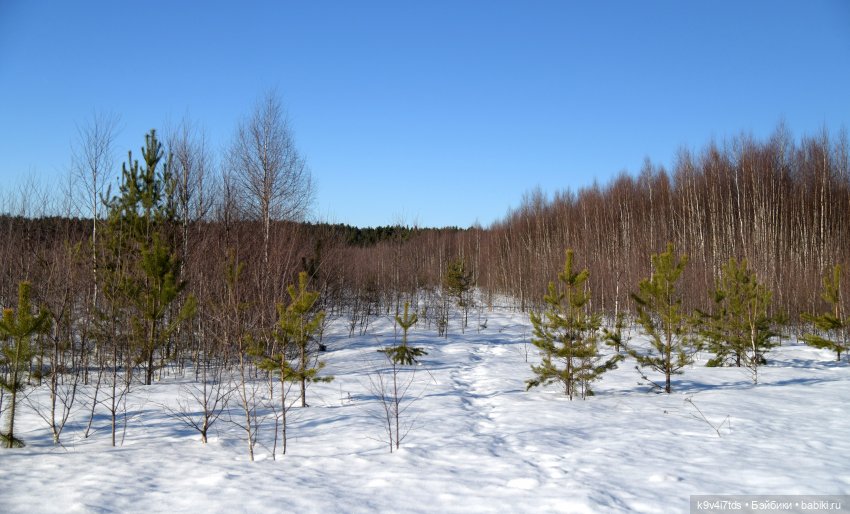 Как Сильвия и Саша пошли встречать Весну (фото 10)