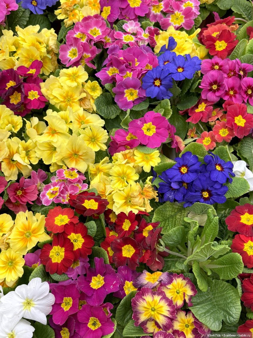 Выставка "Назад в детство", город Тверь