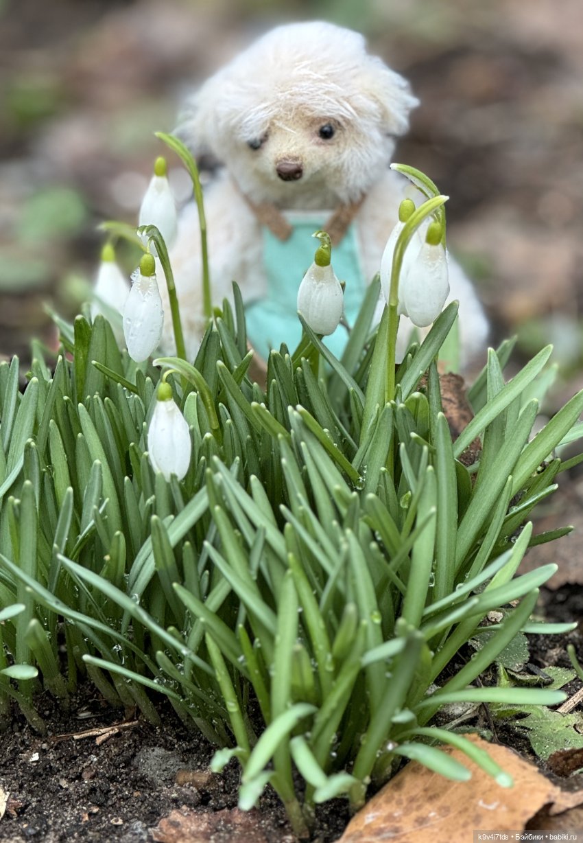 Пэтси и подснежники — Куклы Heidi Plusczok (Хайди/Хейди Плюсчок) — фото (фото 6)