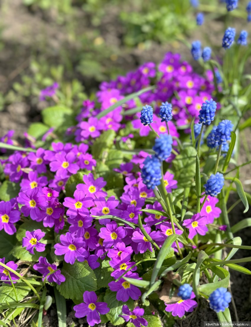 Красивое платье для Дейзи