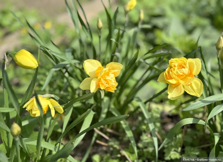 Красивое платье для Дейзи