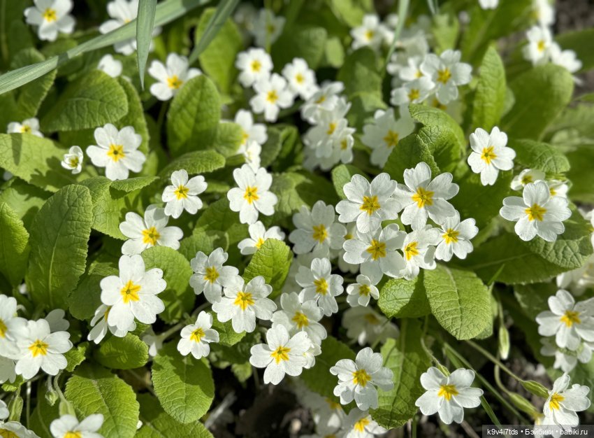 Красивое платье для Дейзи