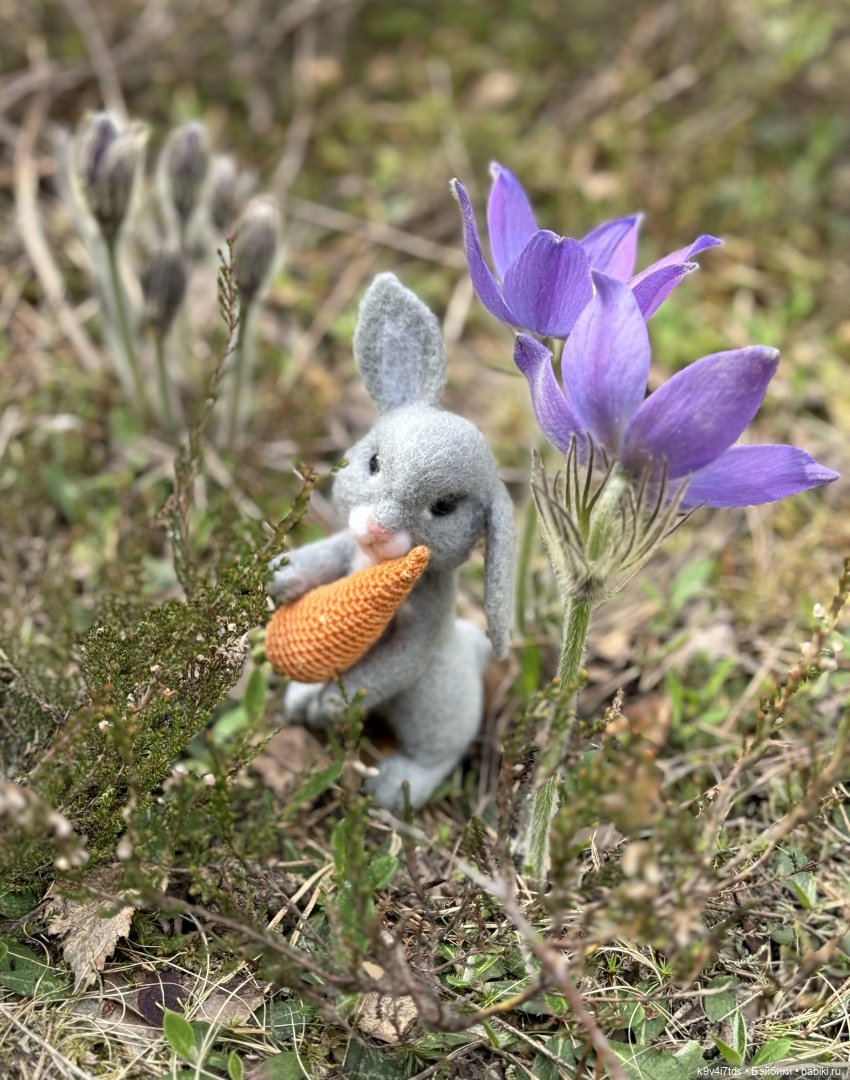 Агнешка в "Оршинском" лесу (фото 8)
