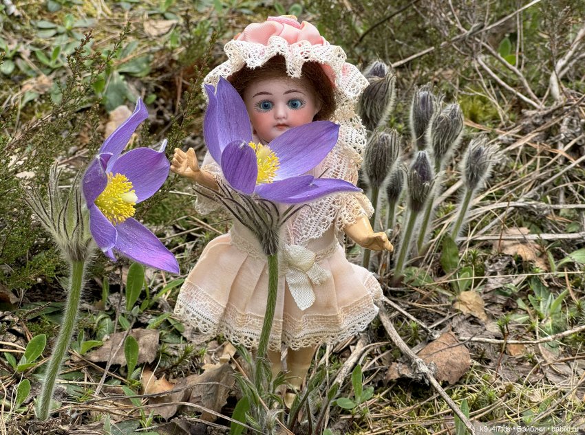 Агнешка в "Оршинском" лесу (фото 2)