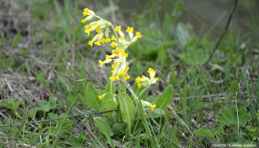Путешествие "Джейки" на Тверской водопад