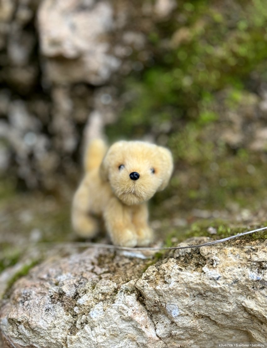 Путешествие "Джейки" на Тверской водопад (фото 7)