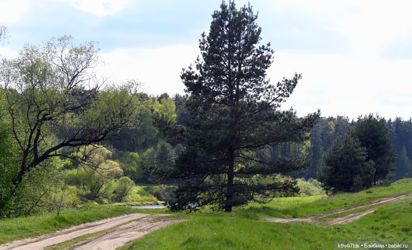 Симона на Тьме — Антикварные куклы Simon & Halbig (S&H): Симон Хальбиг (фото 5)