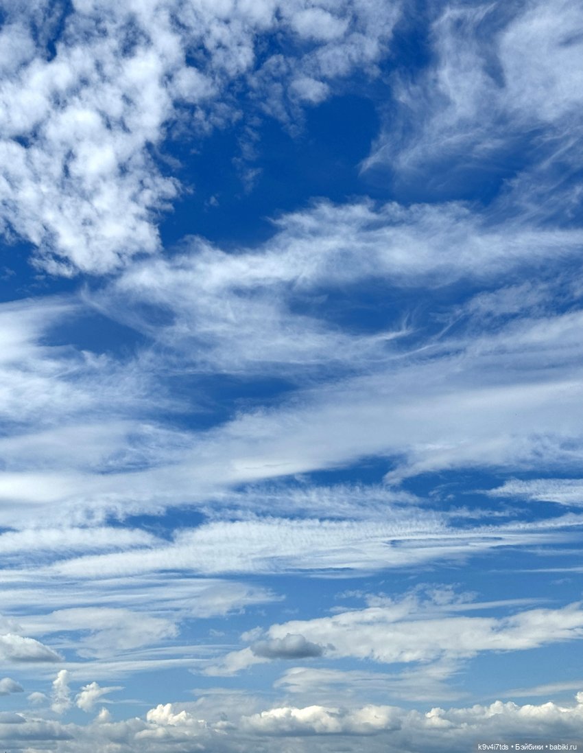 Симона на Тьме — Антикварные куклы Simon & Halbig (S&H): Симон Хальбиг (фото 3)