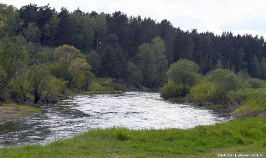 Симона на Тьме — Антикварные куклы Simon & Halbig (S&H): Симон Хальбиг (фото 6)