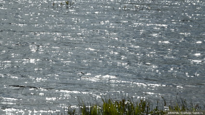 "Лебединое озеро", город Тверь (фото 6)