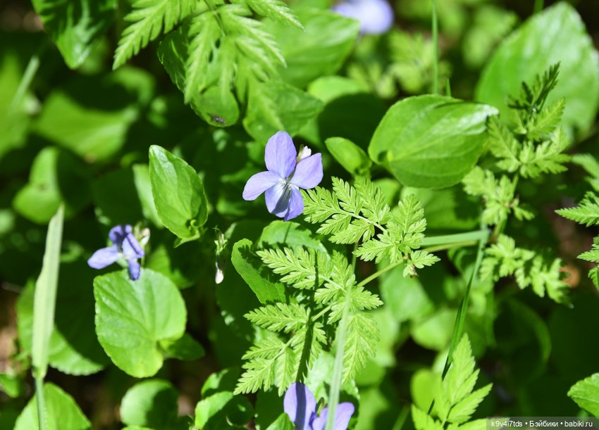 Весеннее путешествие Ульяны (фото 7)