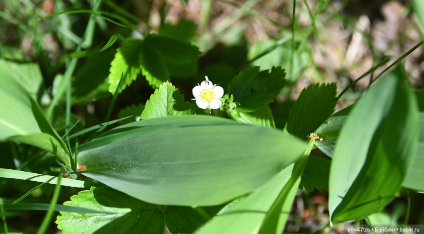 Весеннее путешествие Ульяны (фото 3)