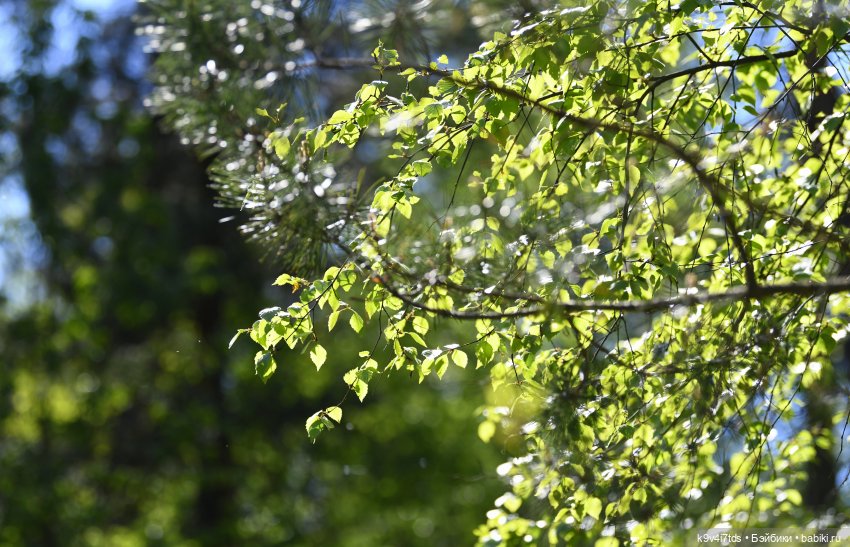 Весеннее путешествие Ульяны (фото 8)