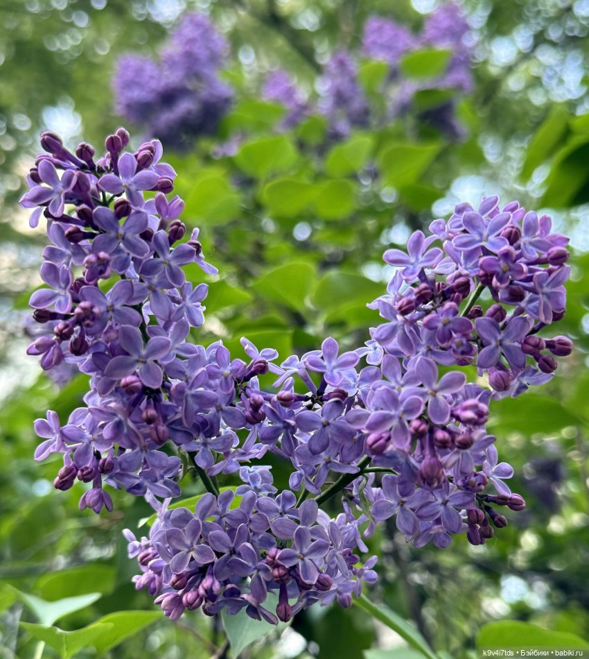 Весеннее путешествие Ульяны