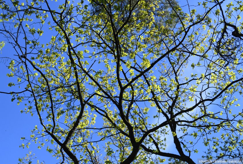 Весеннее путешествие Ульяны