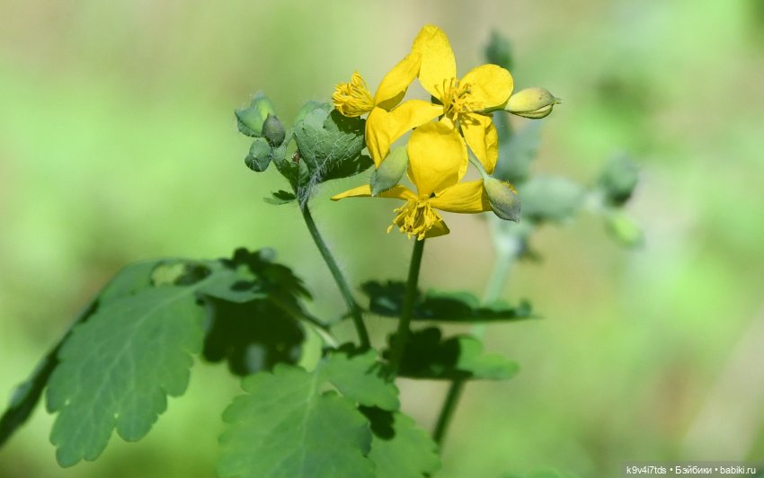 Весеннее путешествие Ульяны