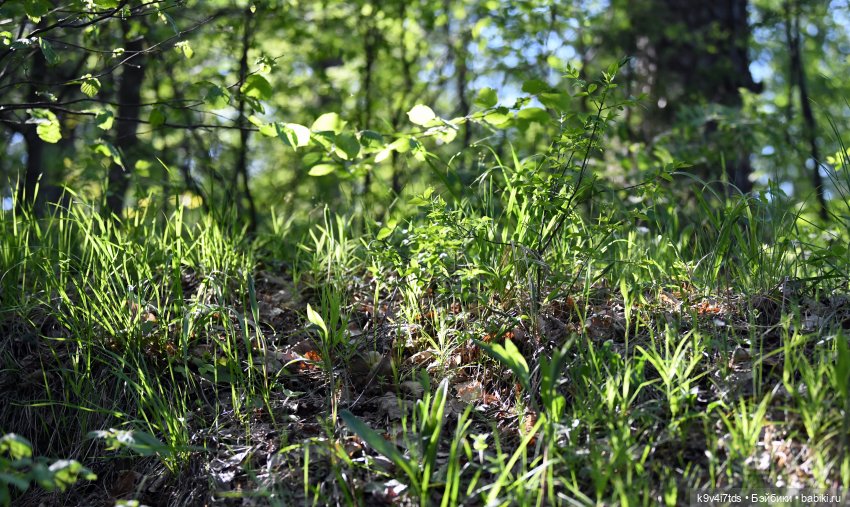 Весеннее путешествие Ульяны
