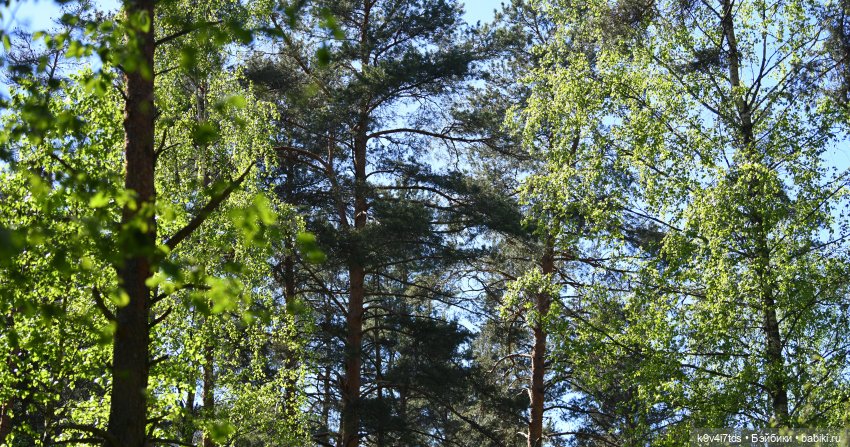 Весеннее путешествие Ульяны