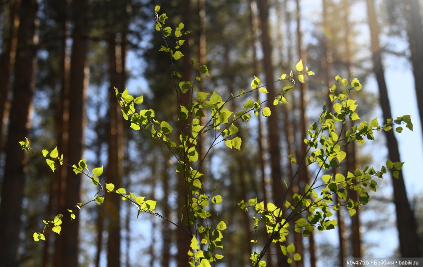 Весеннее путешествие Ульяны
