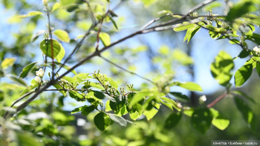 Весеннее путешествие Ульяны