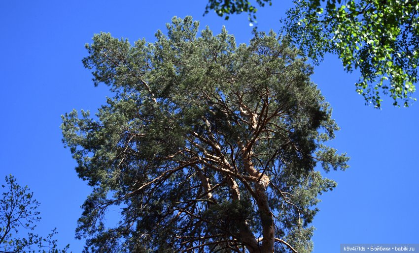 Весеннее путешествие Ульяны