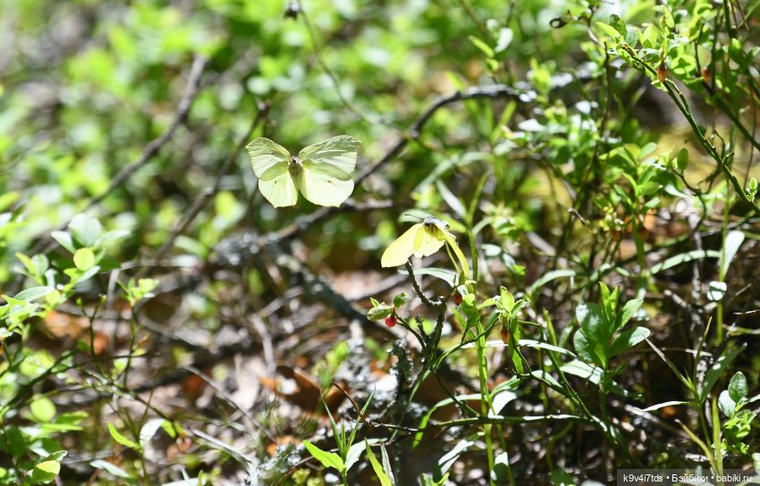 Весеннее путешествие Ульяны