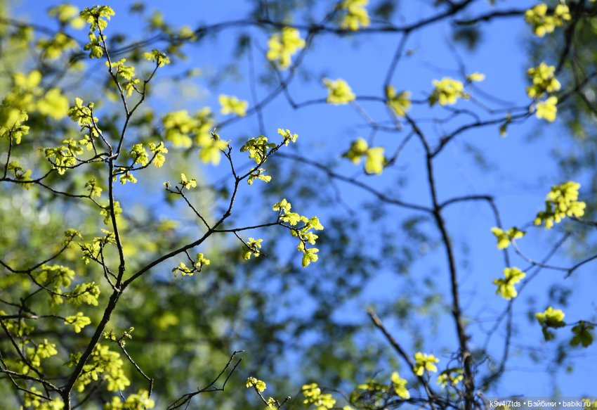 Весеннее путешествие Ульяны