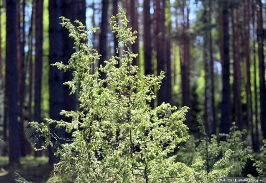 Весеннее путешествие Ульяны