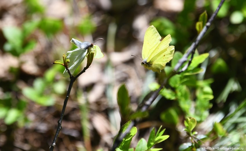 Весеннее путешествие Ульяны