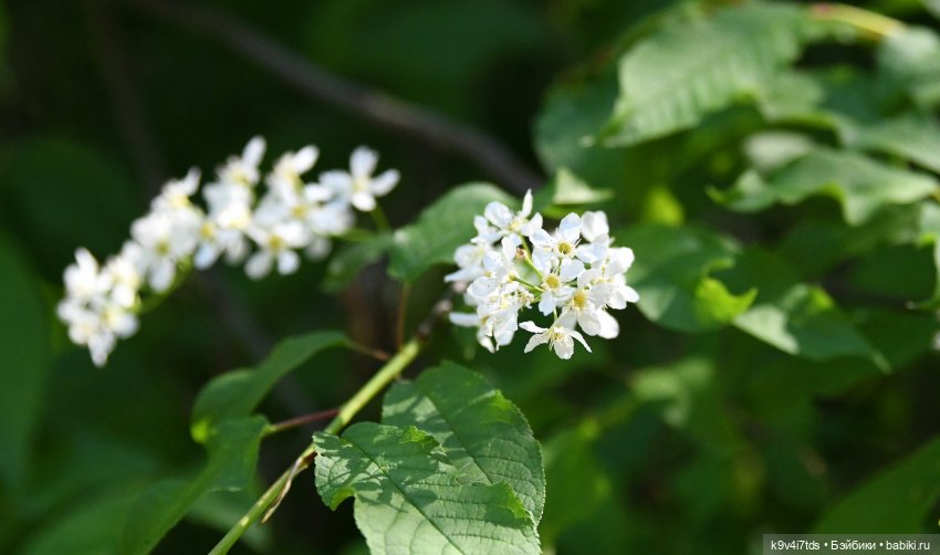 Весеннее путешествие Ульяны