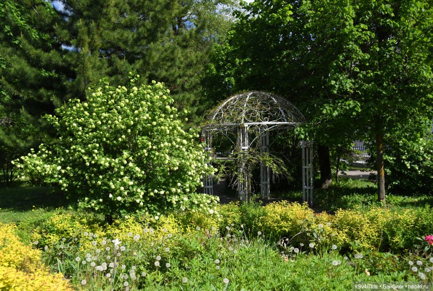 В Городском саду с Молли, город Тверь
