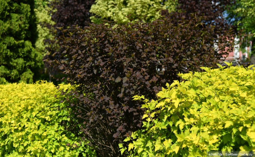 В Городском саду с Молли, город Тверь