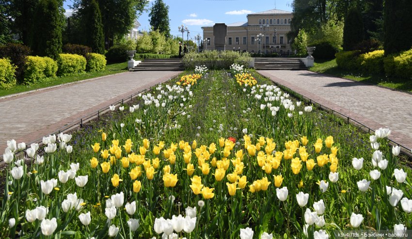 В Городском саду с Молли, город Тверь