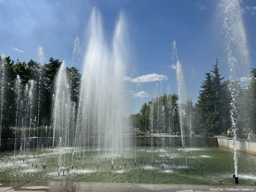 В Городском саду с Молли, город Тверь (фото 7)