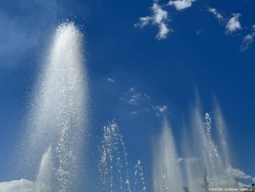 В Городском саду с Молли, город Тверь (фото 8)
