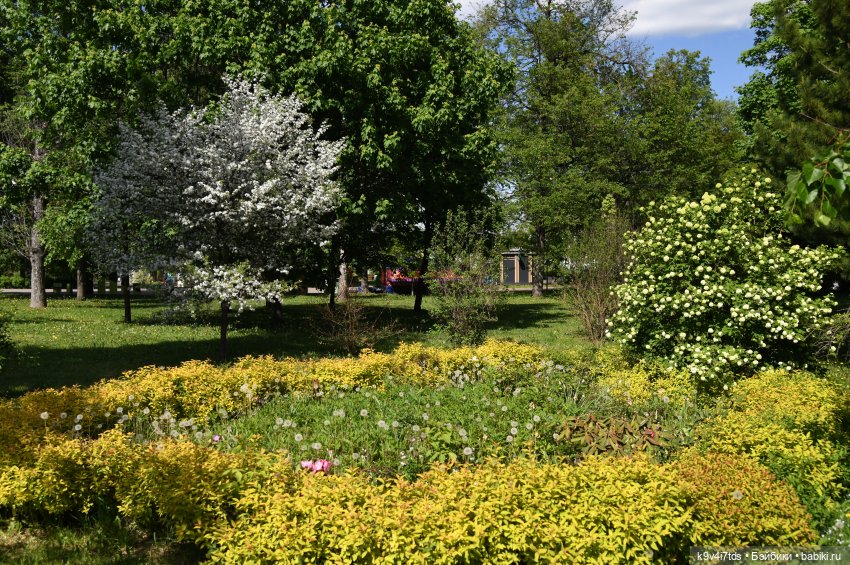 В Городском саду с Молли, город Тверь