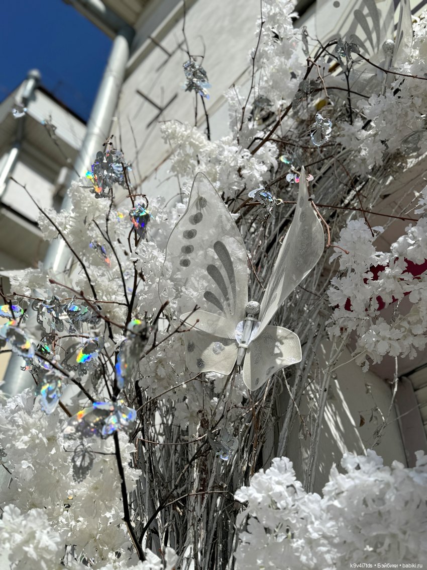 В Городском саду с Молли, город Тверь (фото 2)
