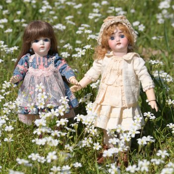 Цветочная прогулка