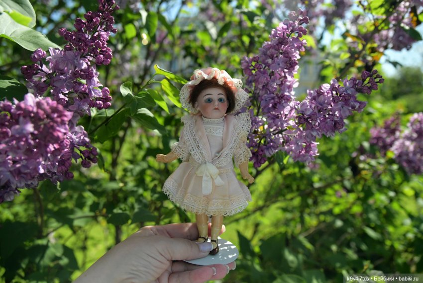 Сиреневая Сказка — Антикварные куклы Schoenau & Hoffmeister (Шенау): молд 1909