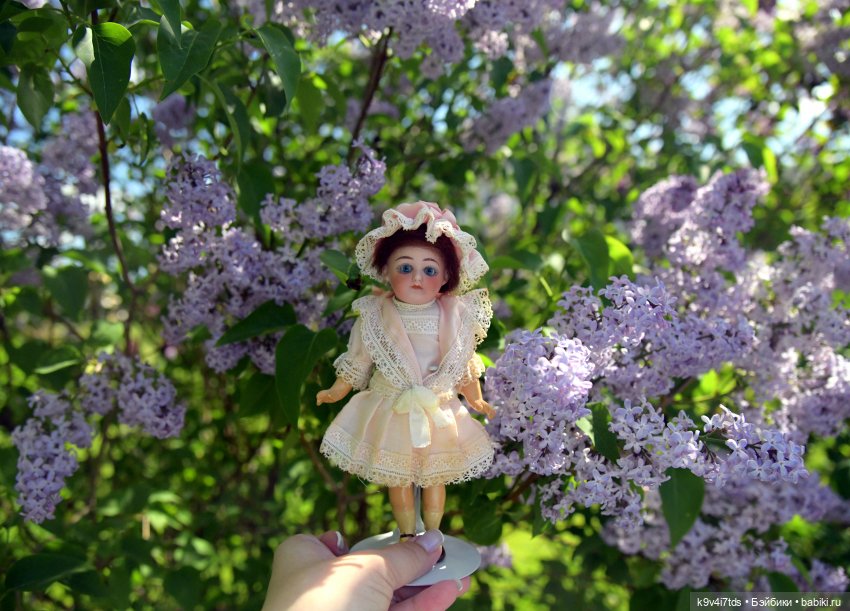 Сиреневая Сказка — Антикварные куклы Schoenau & Hoffmeister (Шенау): молд 1909