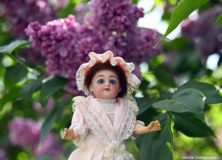 Сиреневая Сказка — Антикварные куклы Schoenau & Hoffmeister (Шенау): молд 1909