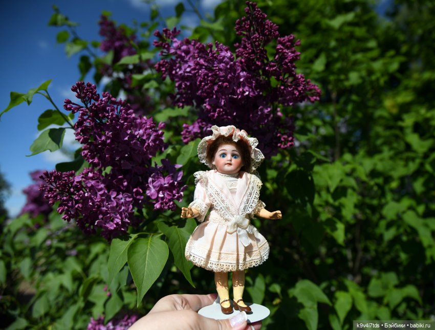 Сиреневая Сказка — Антикварные куклы Schoenau & Hoffmeister (Шенау): молд 1909