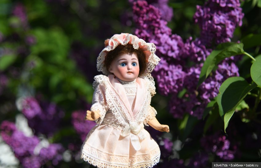 Сиреневая Сказка — Антикварные куклы Schoenau & Hoffmeister (Шенау): молд 1909