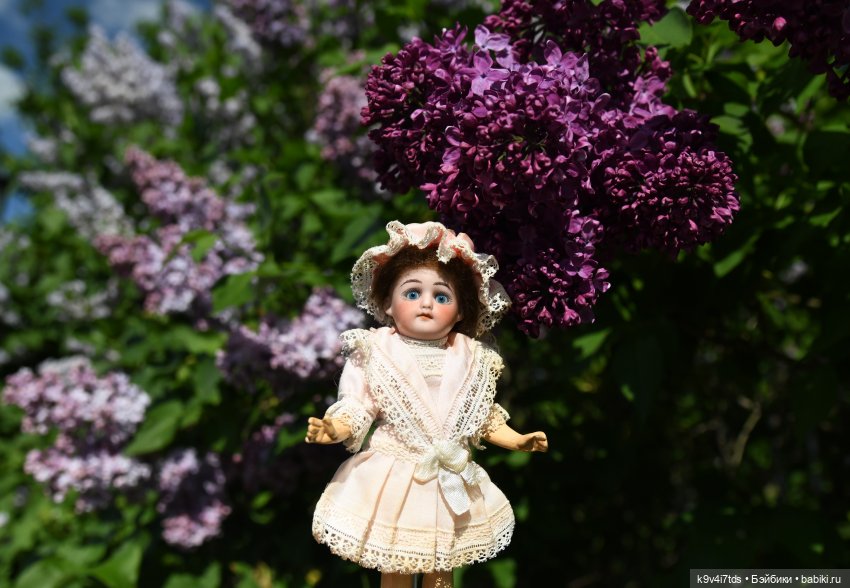 Сиреневая Сказка — Антикварные куклы Schoenau & Hoffmeister (Шенау): молд 1909