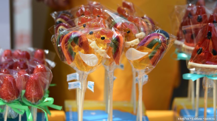 Молли на Дне города Торжка, продолжение