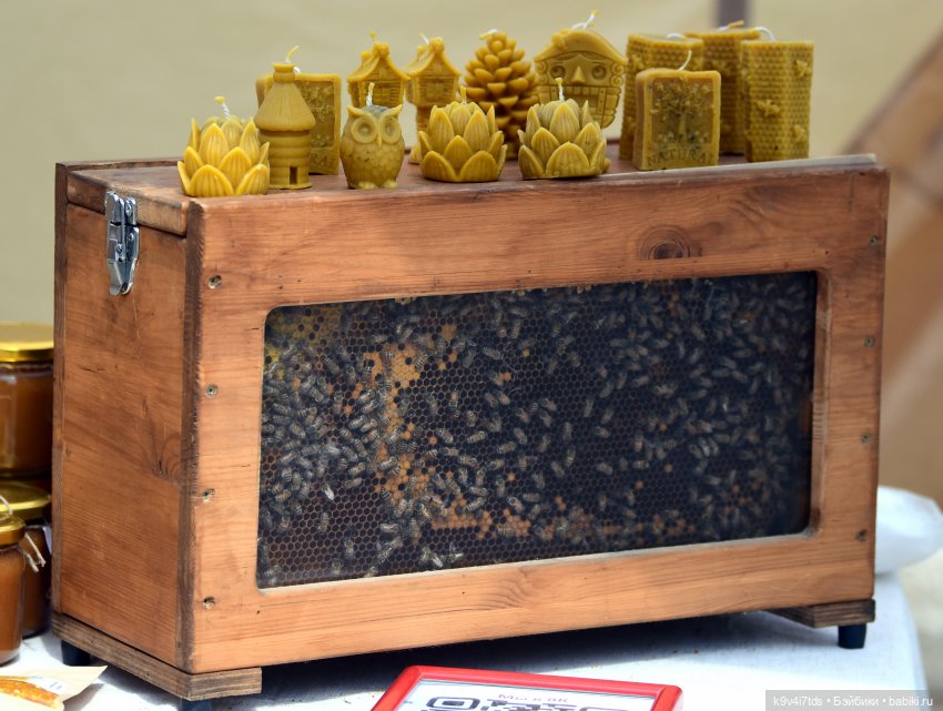 Молли на Дне города Торжка, продолжение